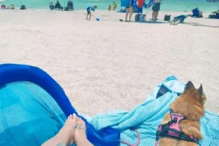 🚧⚠🅒🅐🅤🅣🅘🅞🅝➙ѕoмeтнιng тнιѕ♡sweet🍒ιѕ verყ 🅐🅓🅓🅘🅒🅣🅘🅥🅔💔 - Image 4